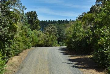 Driveway into the camping area