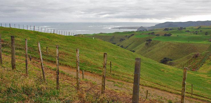 View of the Manuaku Harbour entrance from the Dickey Road rest area