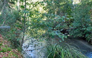 River running behind the parking area