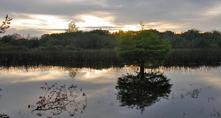 Sunset reflections