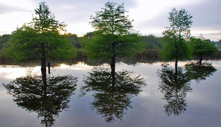 The 3 sisters in reflection