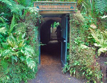 Entrance to the Fernery and Display Houses