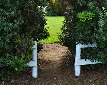 Entrance to the Manaia walkway