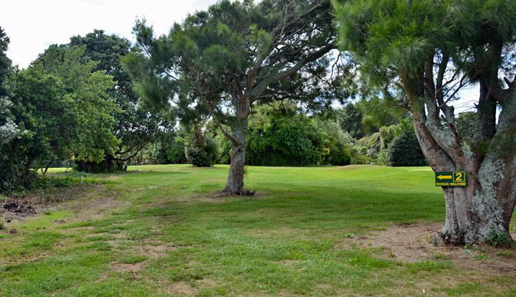 The green and beginning of the Manaia walkway