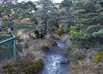 Entrance to the walking track