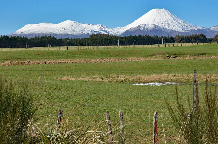 Mounts Tongariro and Ngauruhoe
