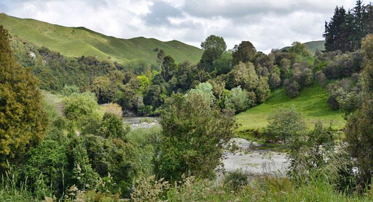 Rugged landscape around the river