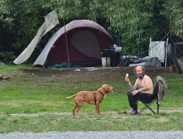 Resident camper enjoyed the Autumn sunshine