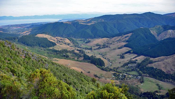 View from the Hawkes Lookout