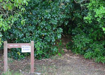 One of the bush walks from the reserve