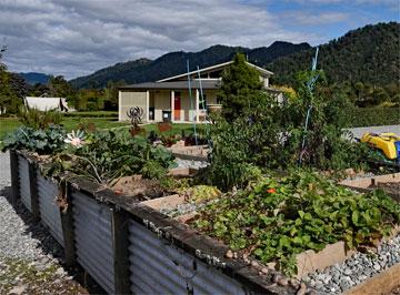 Vege and herb garden