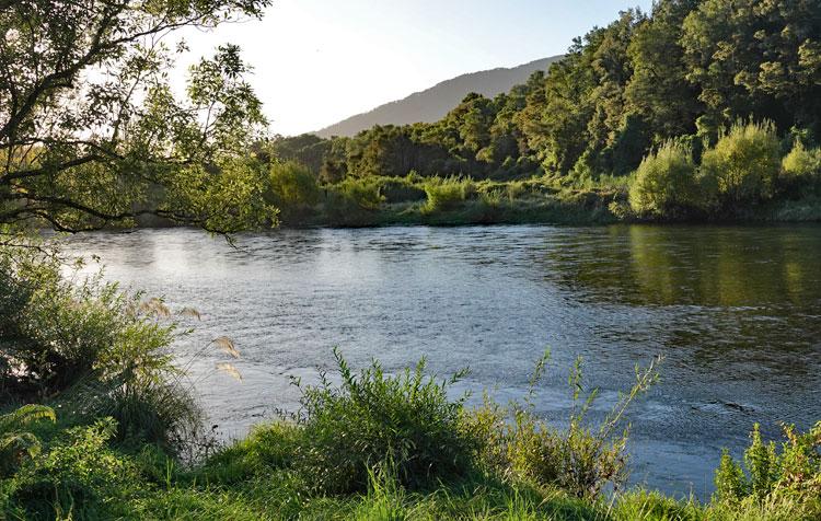 The Buller River