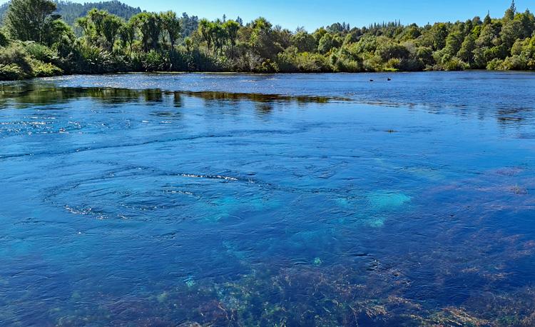 Spring water bubbling up into the lake