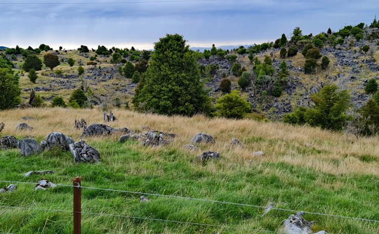 Rural landscape across the road