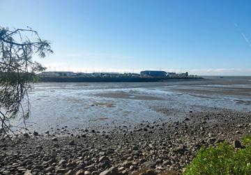 View over the harbour at low tide