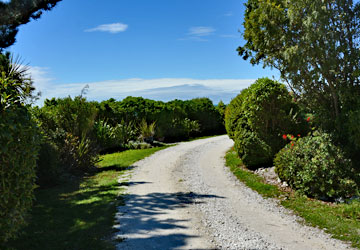 Driveway leading to the reserve