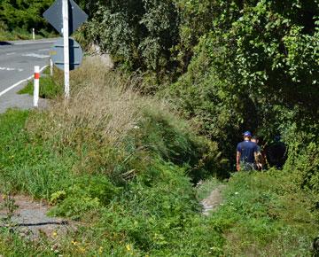 Walking track down to the river