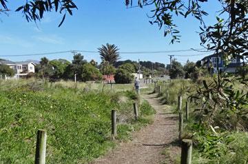 The walking track back to Marine Parade