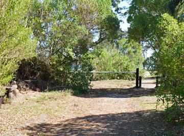 Entry to the estuary forest walk