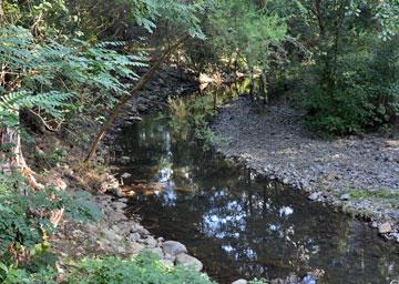 Stream running through the park