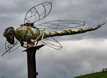 Giant dragonfly