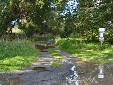 Muddy driveway