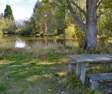 Picnic tables in the reserve