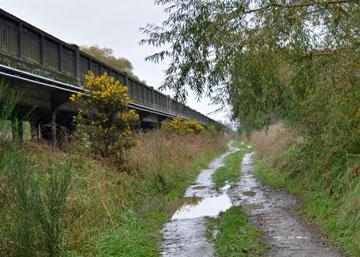 Access road to the river