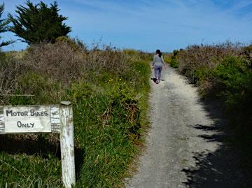 Track to access the beach