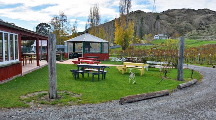 The wine tasting area and vineyard