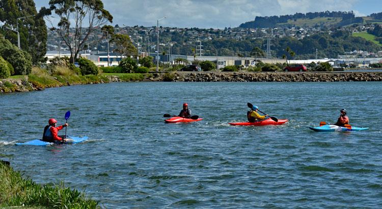 Kayaking on the harbour