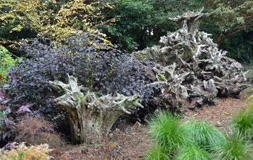 Quirky tree root sculptures set in the garden