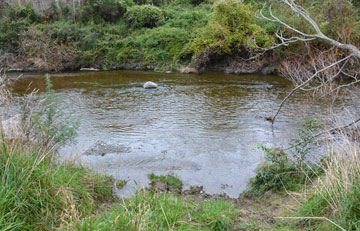 Access to the Waianakarua River