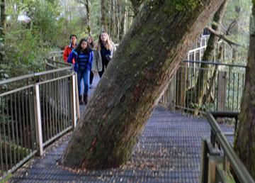 Walkway to the Mirror Lakes