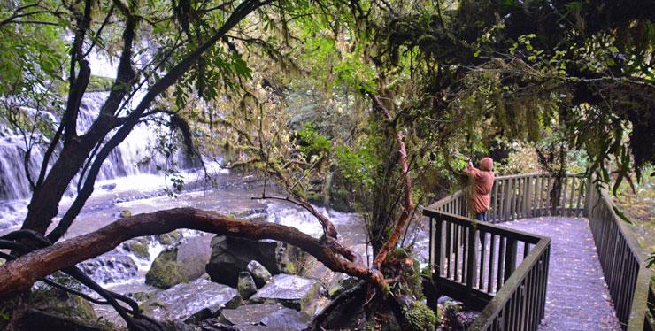 The viewing platform at the Purakanunui Falls