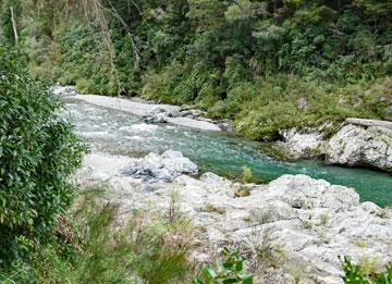 Pelorus river