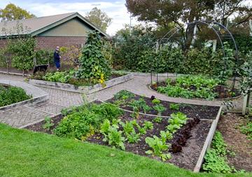Public vegetable garden project