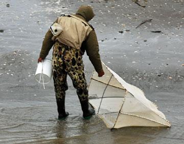 Someone out trying to catch whitebait