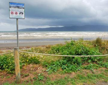 Beach parking