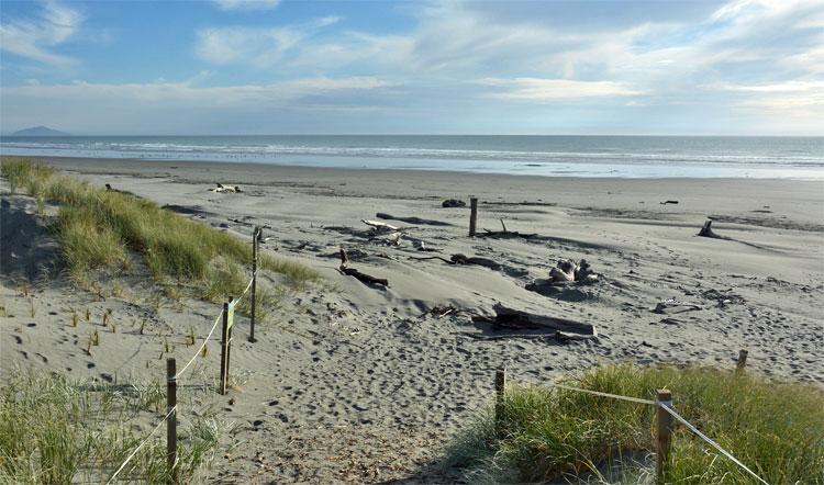 Waitarere beach