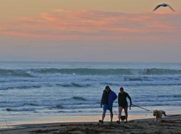 Early morning walk along the beach