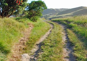 Driveway to access the camping area