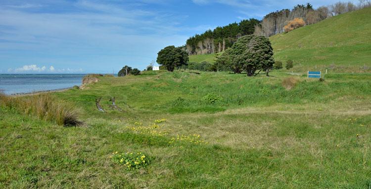 Grassed camping ground area