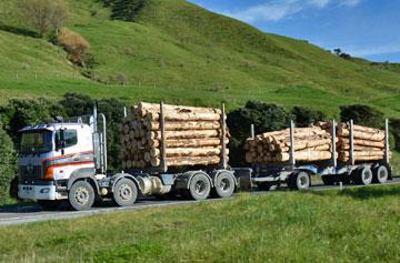 One of those pesky logging trucks