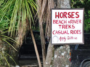 Horse treks sign