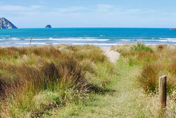 Access to the beach