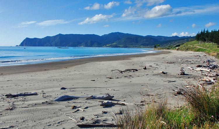 Waipiro Bay