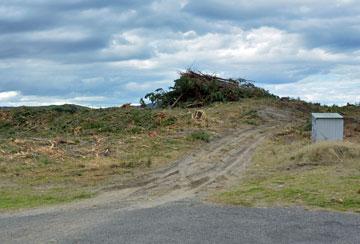 Forested area which has recently been cleared