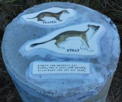 Stoat and Weasel Sculpture