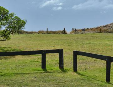 Access to the beach across the reserve